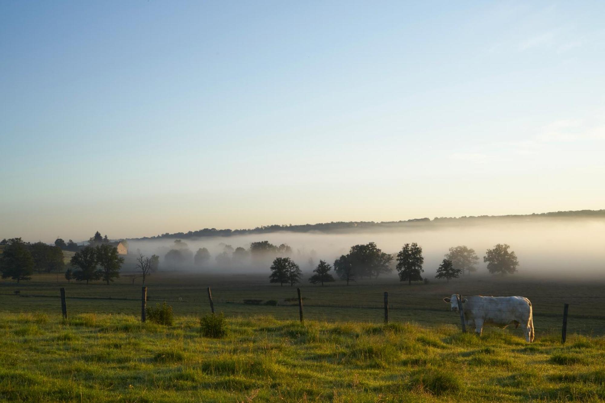 La Colline Du Colombier Hotel Iguerande ภายนอก รูปภาพ