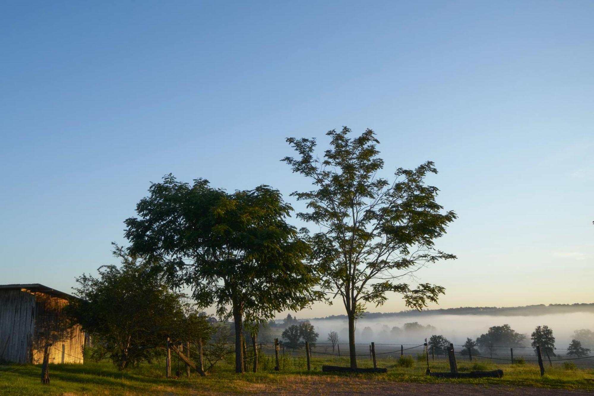 La Colline Du Colombier Hotel Iguerande ภายนอก รูปภาพ